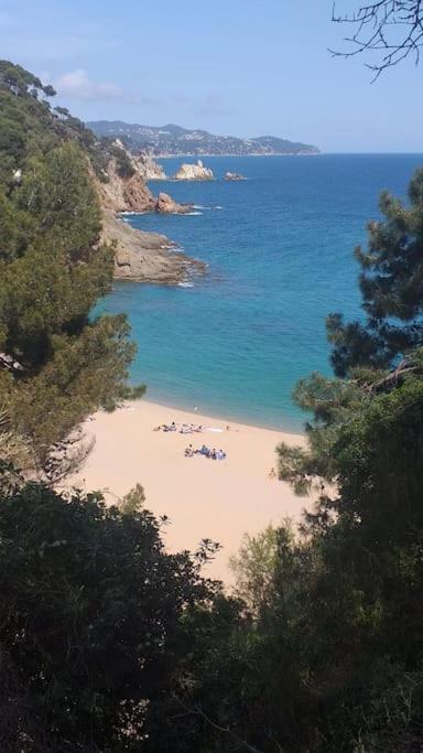בלאנס Alegre Apto Con Piscina, A 300M De La Playa. מראה חיצוני תמונה